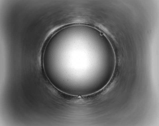 X0000098121222200804111108