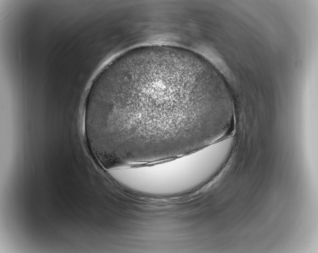 X0000098121224200804111108