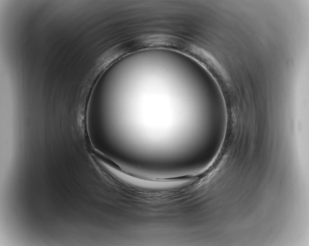 X0000098121225200804111108