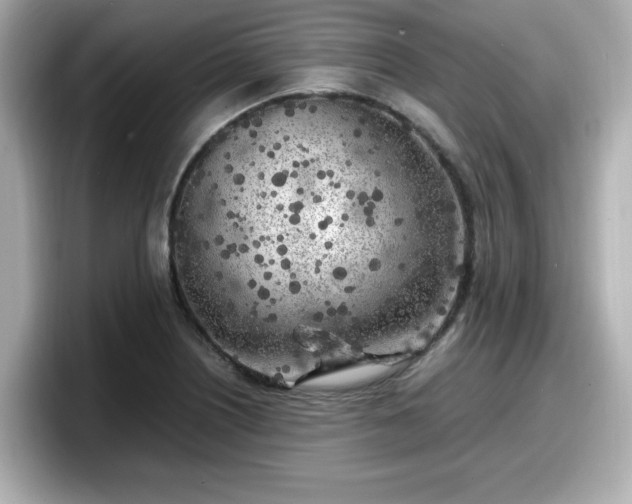 X0000098121226200804111108