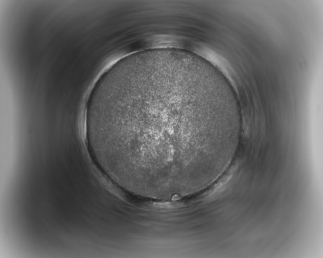 X0000098121227200804111108