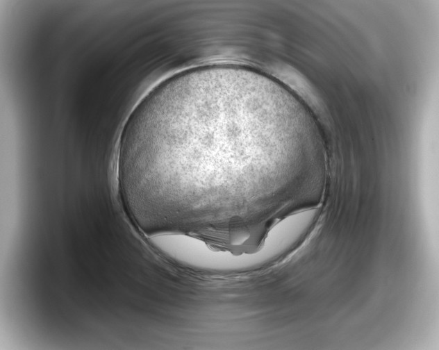 X0000098121228200804111108