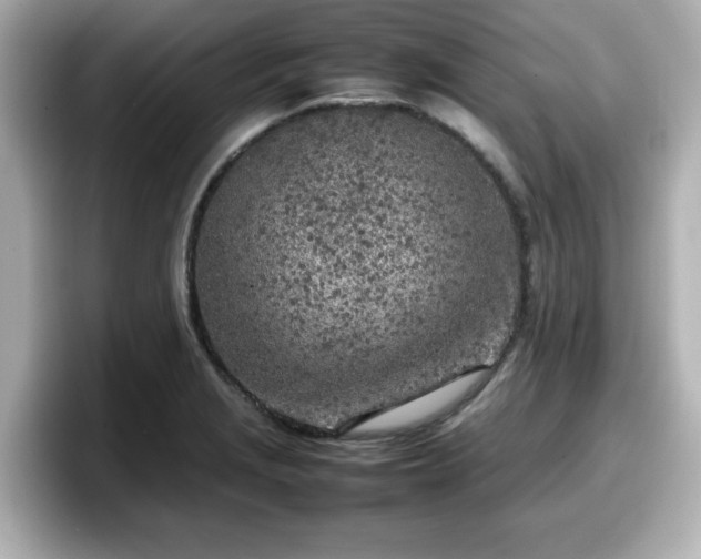 X0000098121229200804111108