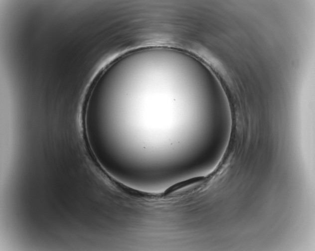 X0000098121230200804111108