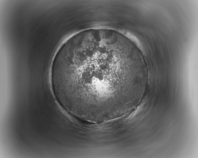 X0000098121231200804111108