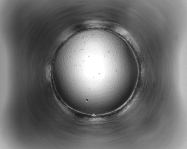 X0000098121233200804111109