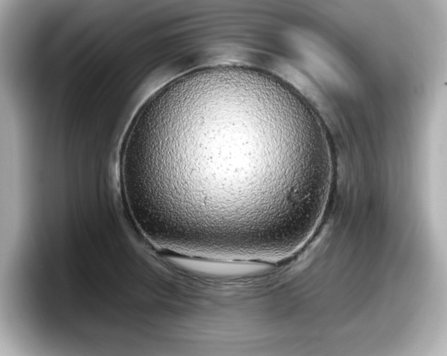 X0000098121234200804111109