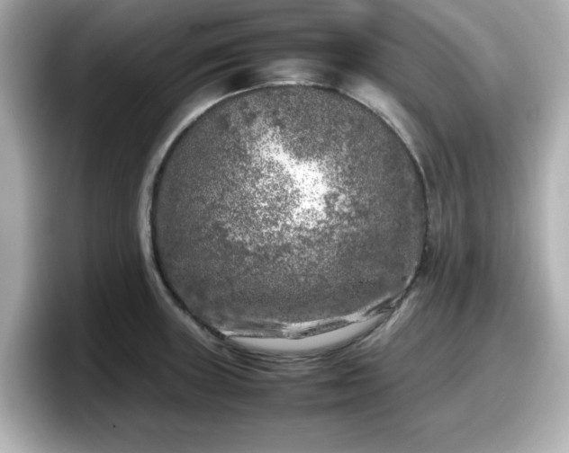 X0000098121235200804111109
