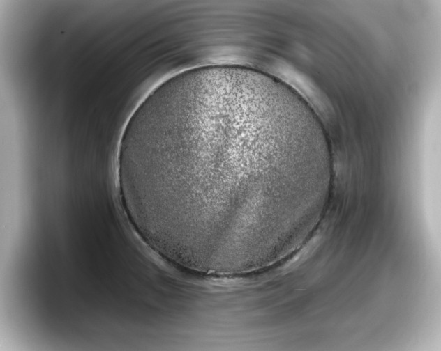 X0000098121236200804111109