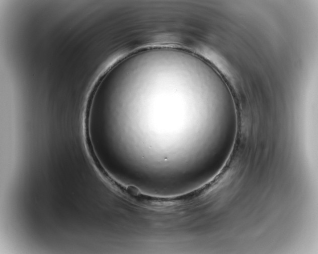 X0000098121237200804111109