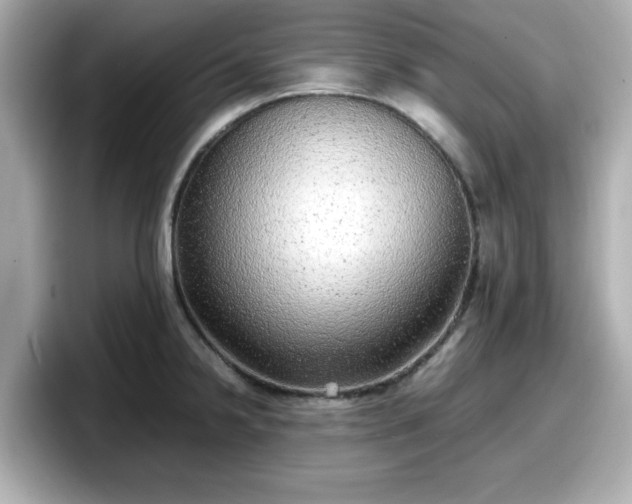X0000098121238200804111109