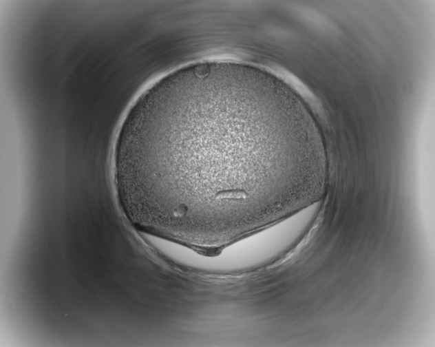 X0000098121240200804111109