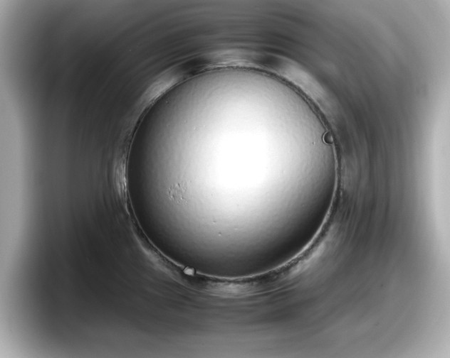 X0000098121241200804111109