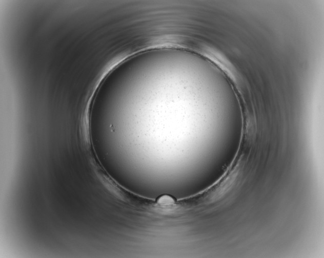X0000098121242200804111109