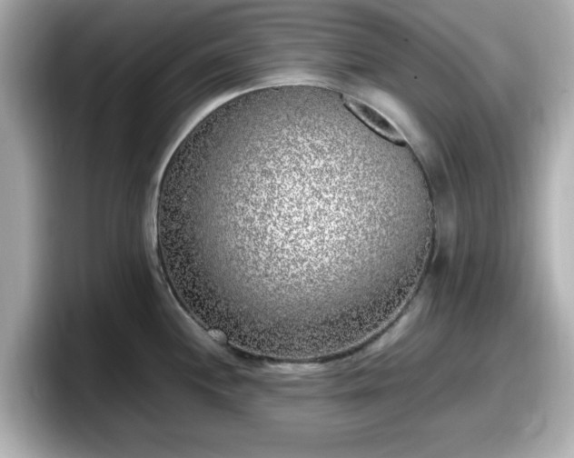 X0000098121244200804111109