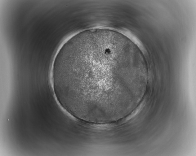 X0000098121247200804111109