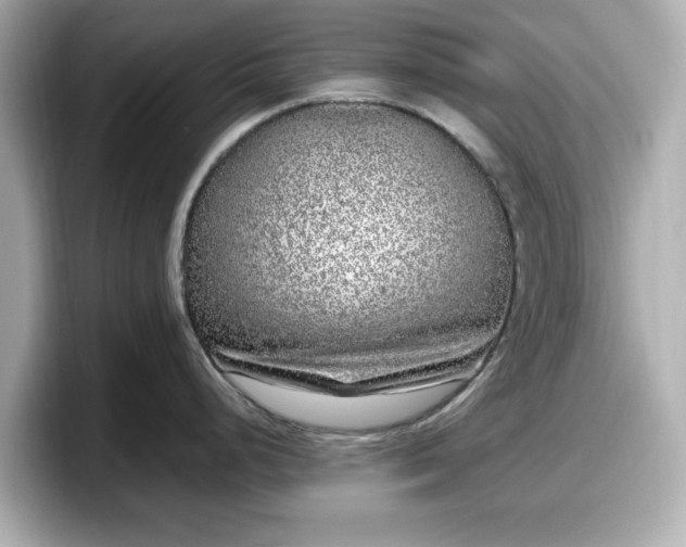 X0000098121248200804111109