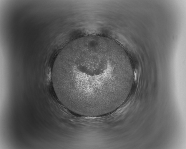 X0000098121251200804111108