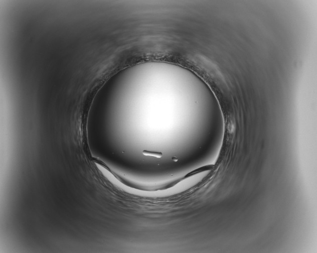 X0000098121252200804111108