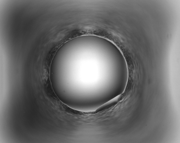 X0000098121253200804111108