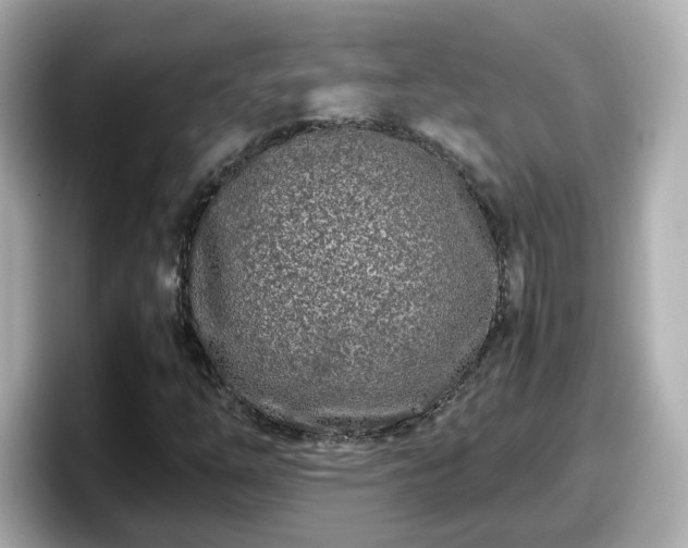 X0000098121254200804111108