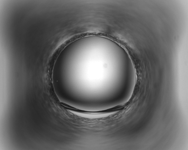 X0000098121256200804111108