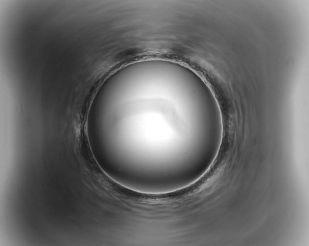 X0000098121257200804111108