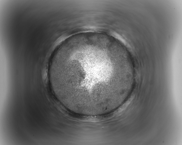 X0000098121259200804111108