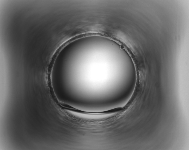 X0000098121260200804111108
