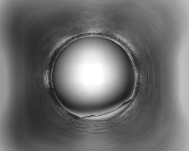 X0000098121262200804111108