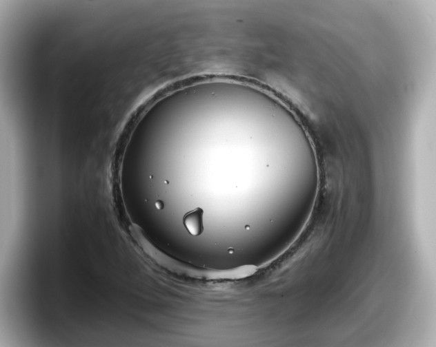 X0000098121264200804111108