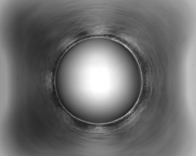 X0000098121265200804111108