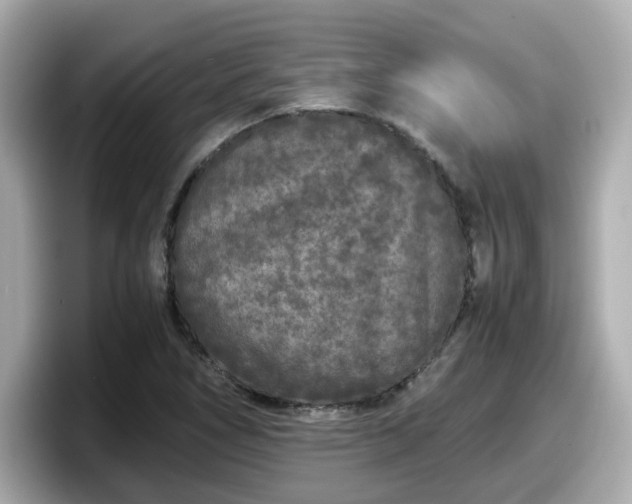 X0000098121266200804111108
