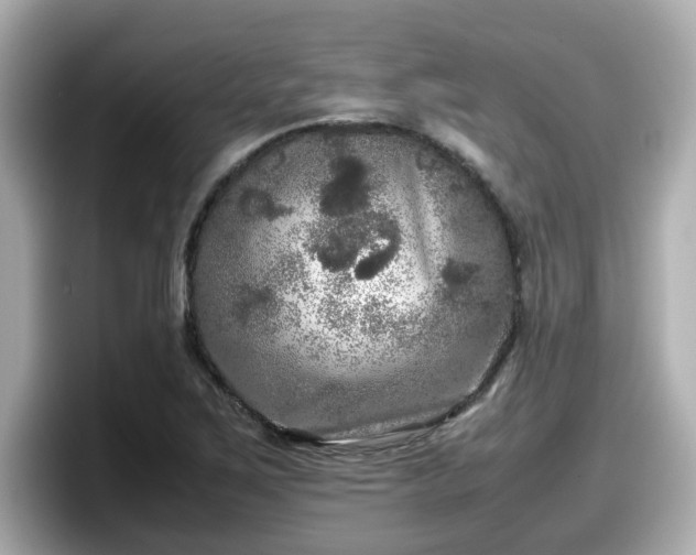 X0000098121267200804111108