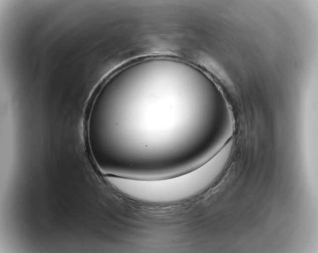 X0000098121268200804111108