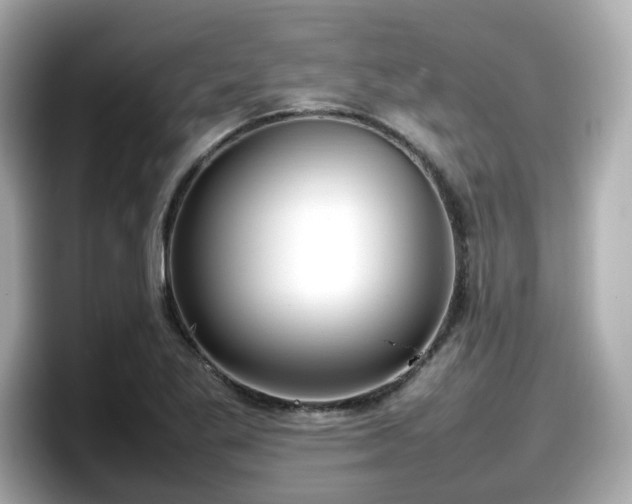 X0000098121269200804111108