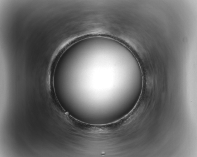 X0000098121270200804111108