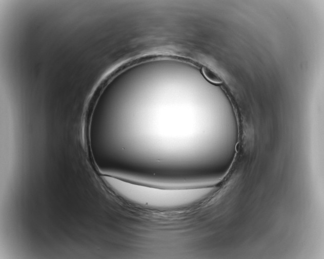 X0000098121272200804111108