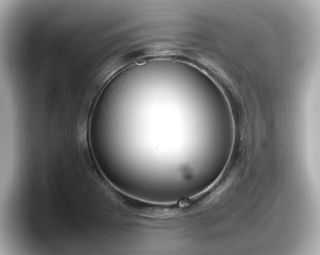 X0000098121273200804111108