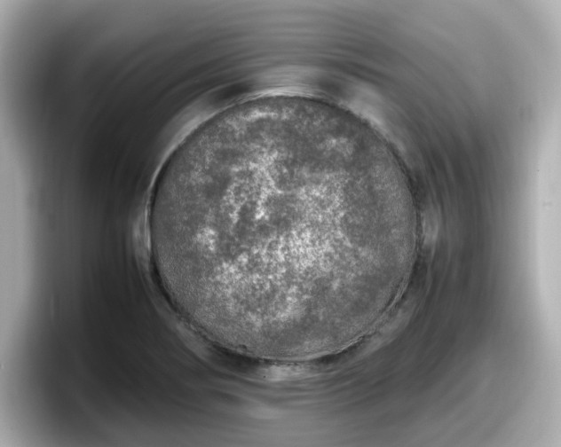 X0000098121274200804111108