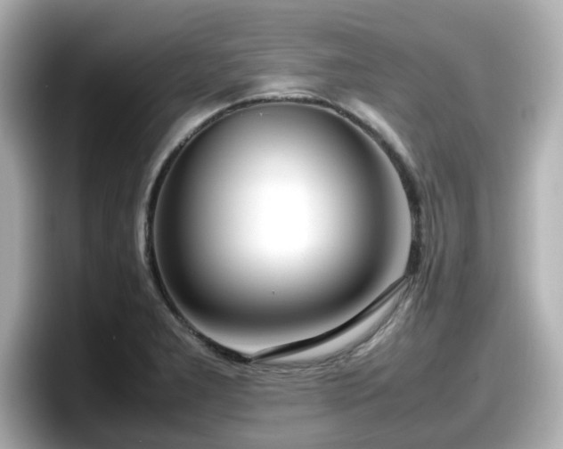 X0000098121277200804111108