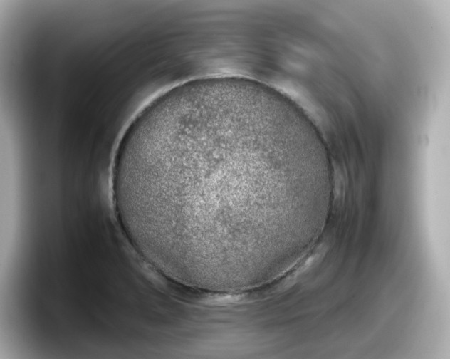 X0000098121278200804111108