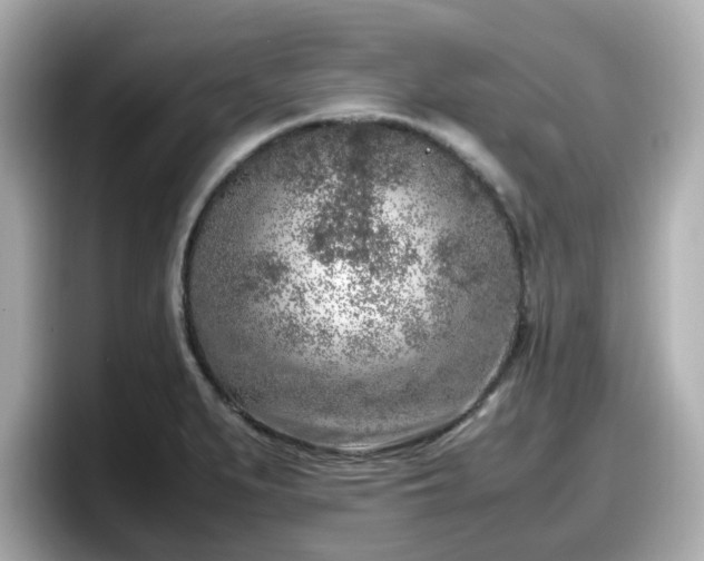X0000098121279200804111108
