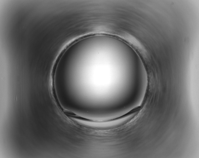 X0000098121280200804111108
