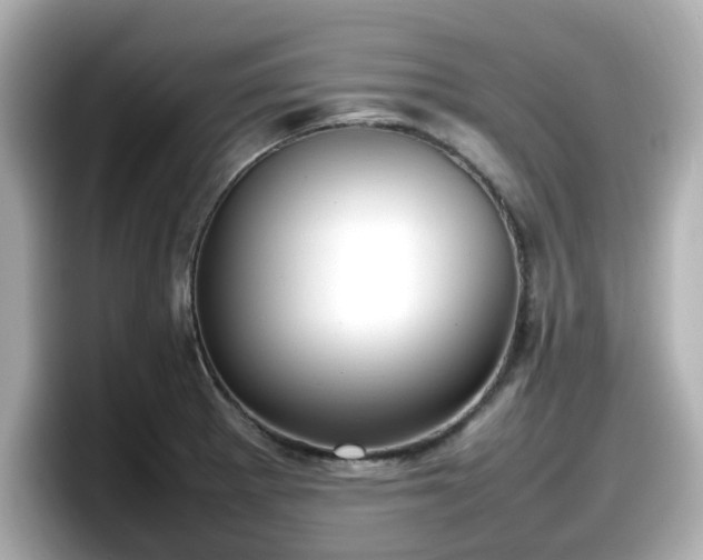 X0000098121281200804111108
