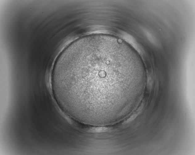X0000098121282200804111108