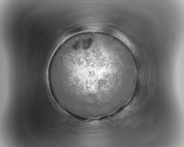 X0000098121283200804111108