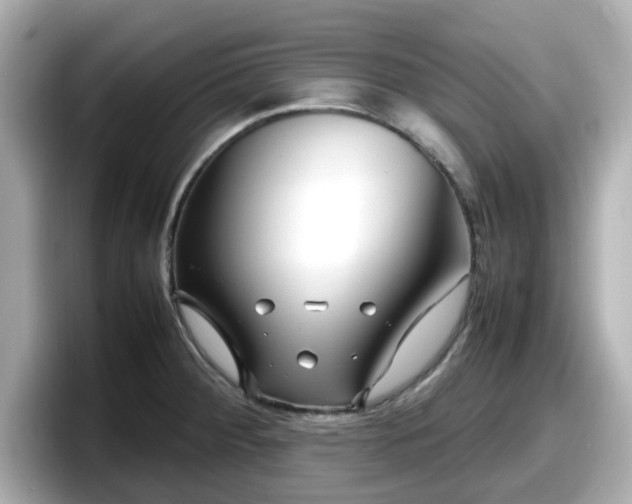 X0000098121284200804111108