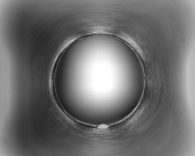 X0000098121285200804111108
