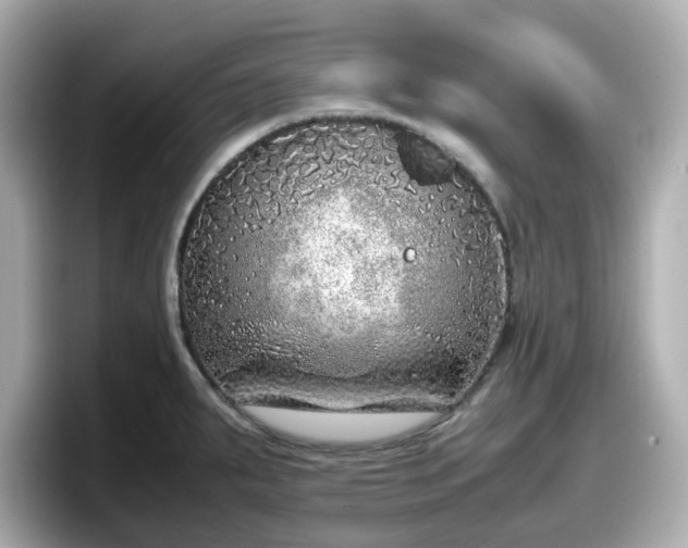 X0000098121287200804111108
